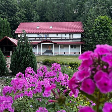 Vacation Villa Sucevita Buitenkant foto