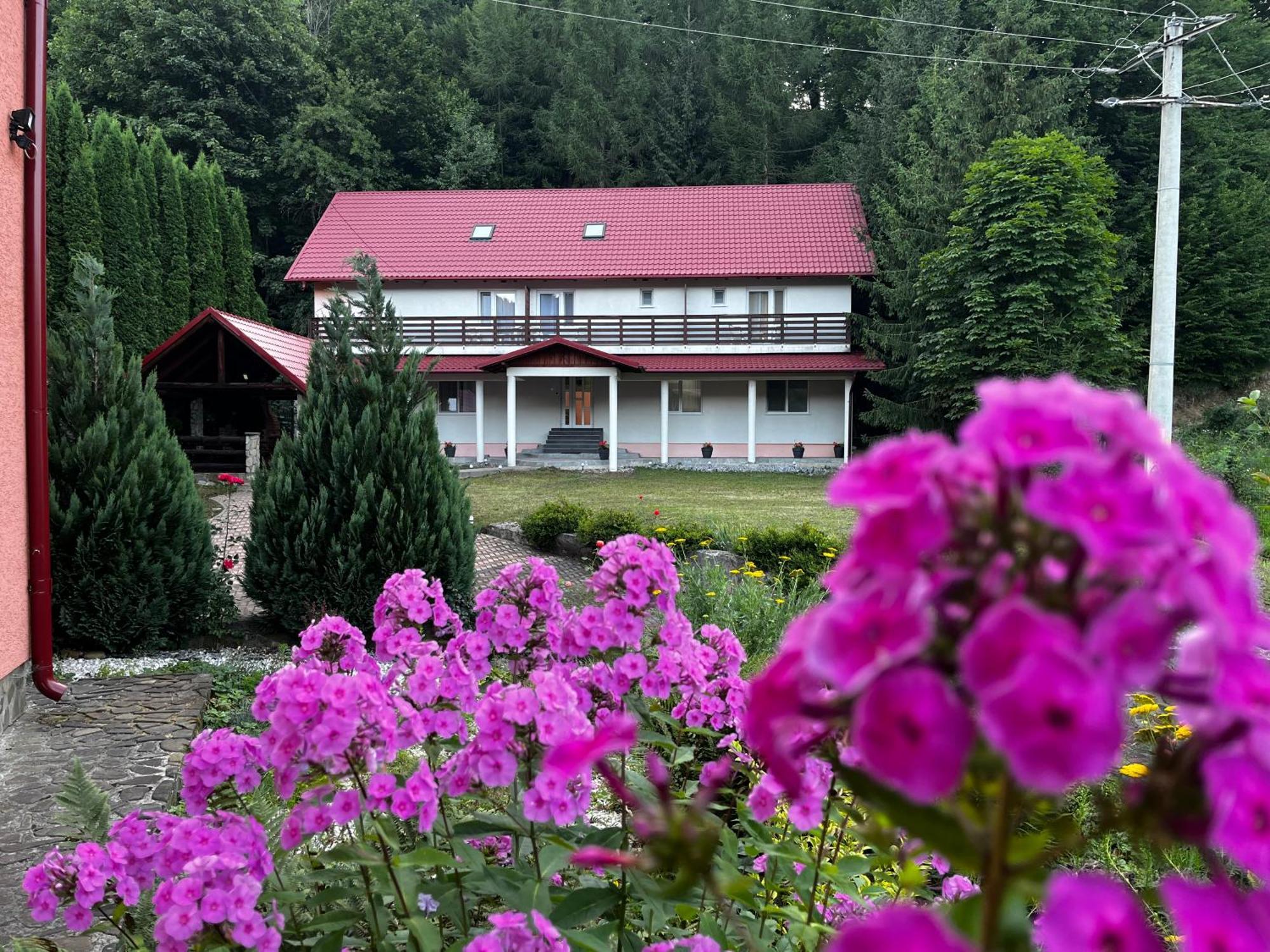 Vacation Villa Sucevita Buitenkant foto